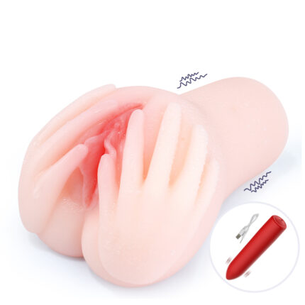 520g Vibration Pussy toy QSX-zzcm